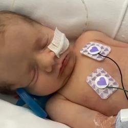 NICU Community unites for Incubator Push at Crystal Palace Park